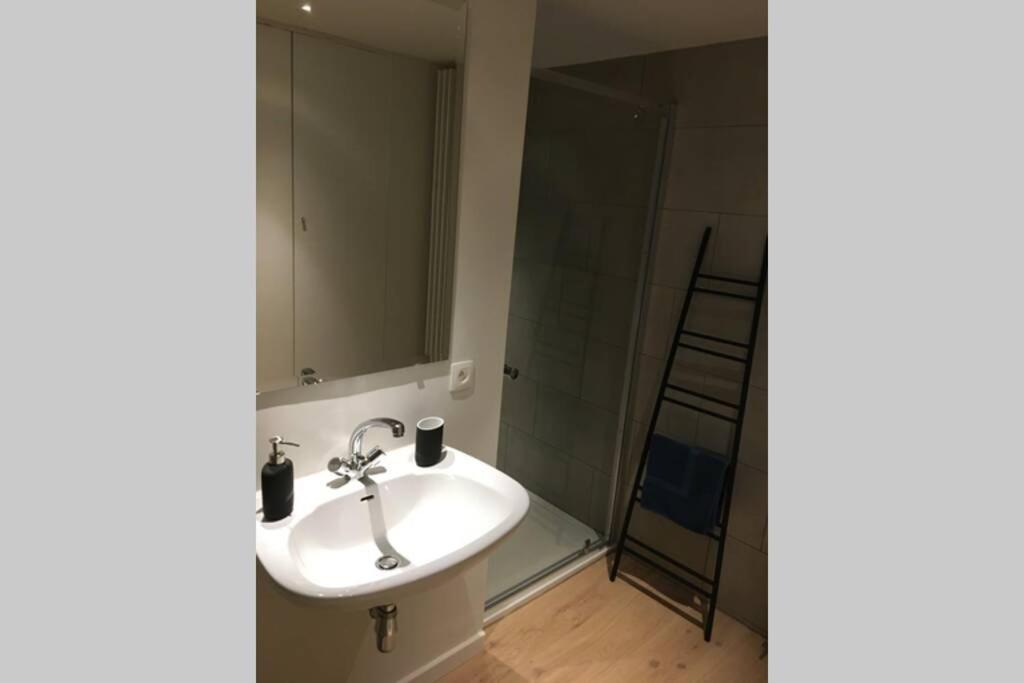 Studio2 Ename, Dakappartement In Vlaamse Ardennen أودينارد المظهر الخارجي الصورة